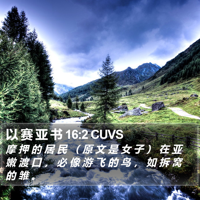 以 赛 亚 书 16:2 CUVS Bible Study