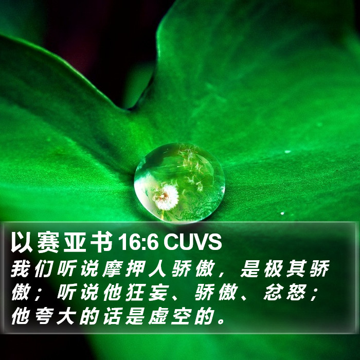 以 赛 亚 书 16:6 CUVS Bible Study