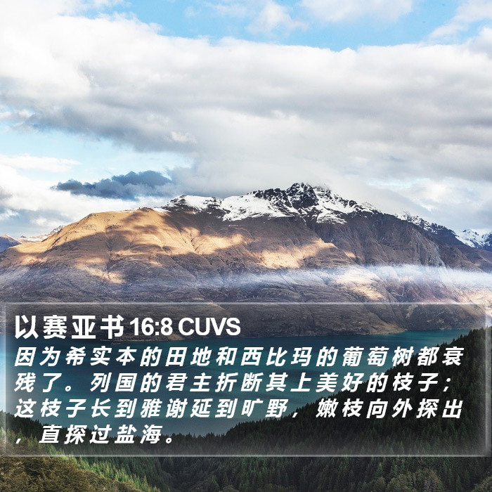 以 赛 亚 书 16:8 CUVS Bible Study