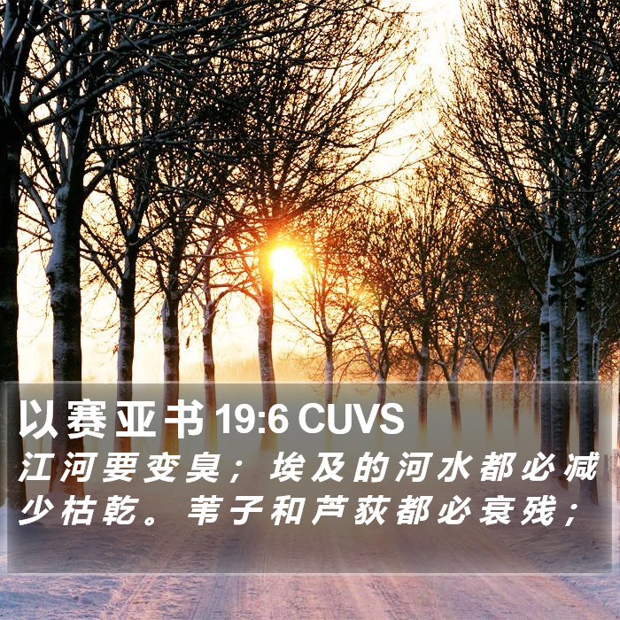 以 赛 亚 书 19:6 CUVS Bible Study