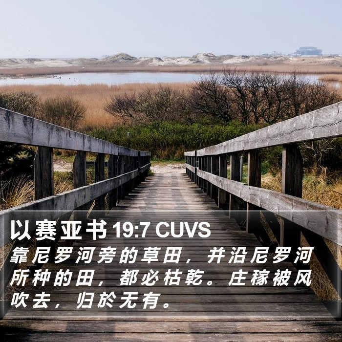 以 赛 亚 书 19:7 CUVS Bible Study