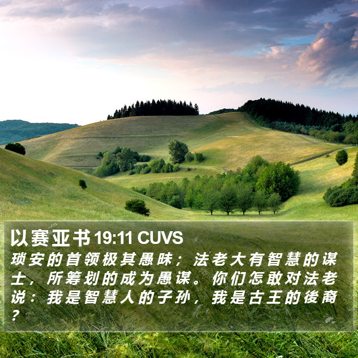 以 赛 亚 书 19:11 CUVS Bible Study
