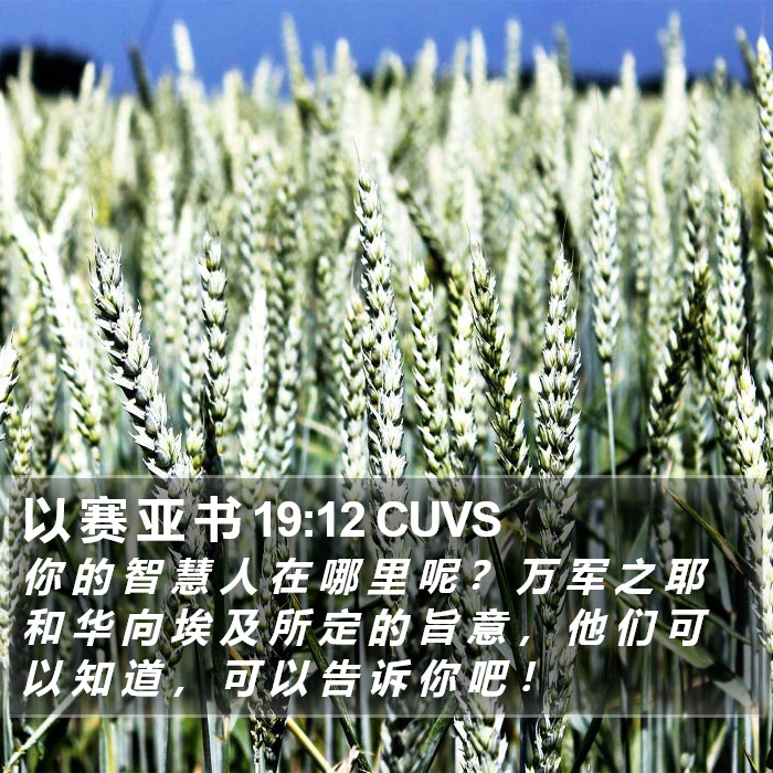以 赛 亚 书 19:12 CUVS Bible Study