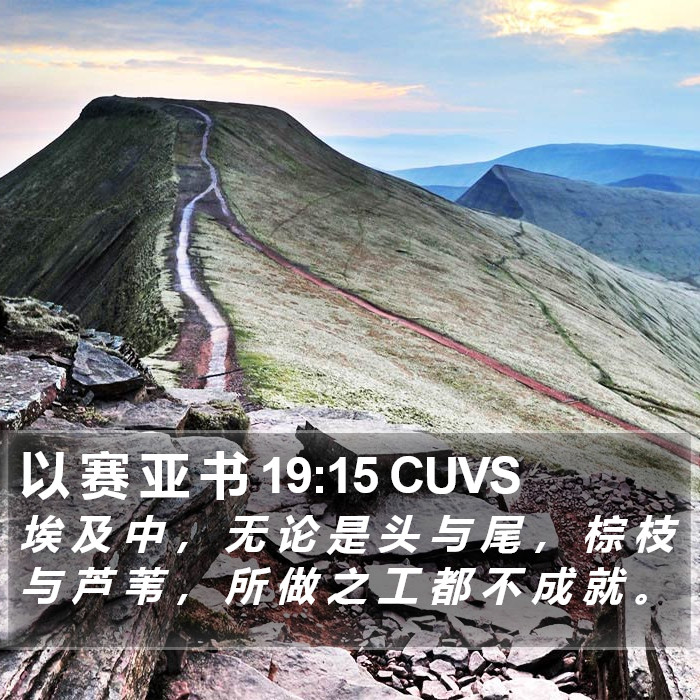 以 赛 亚 书 19:15 CUVS Bible Study