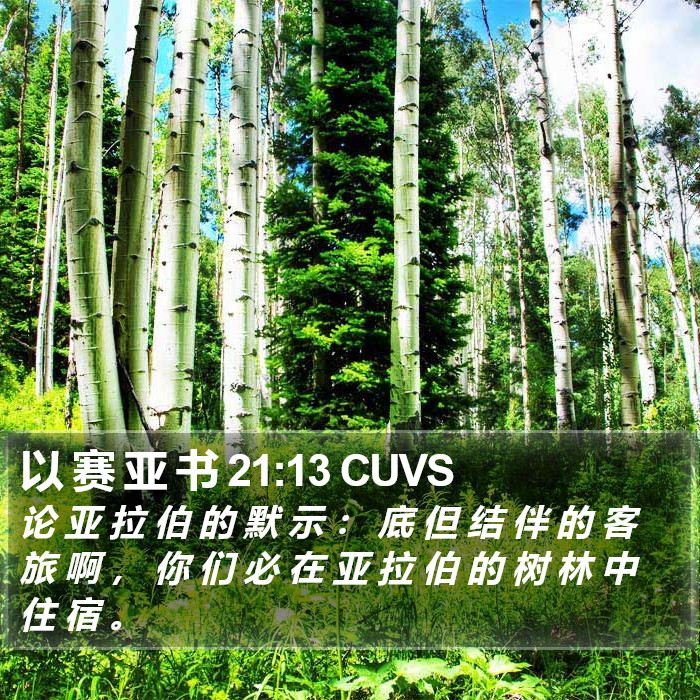 以 赛 亚 书 21:13 CUVS Bible Study