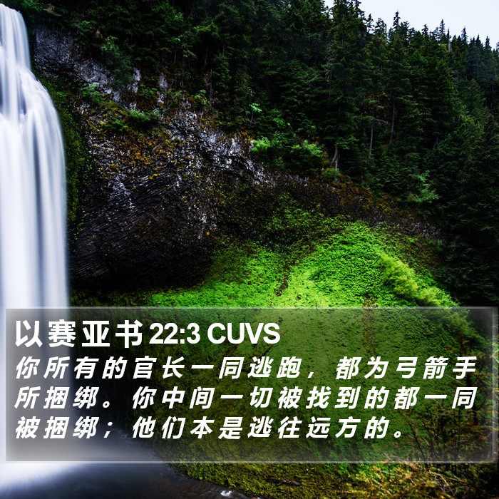 以 赛 亚 书 22:3 CUVS Bible Study