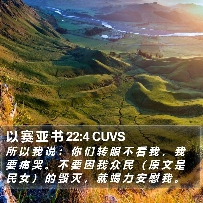 以 赛 亚 书 22:4 CUVS Bible Study