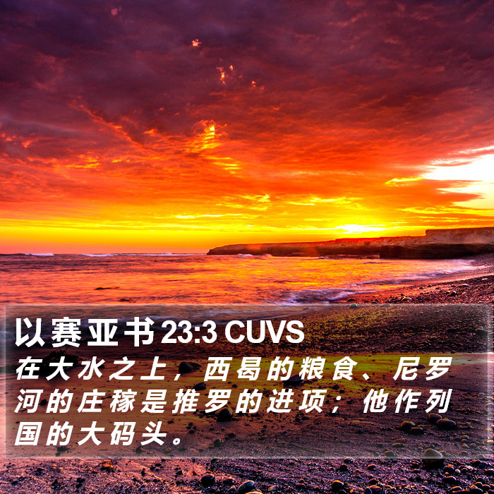以 赛 亚 书 23:3 CUVS Bible Study
