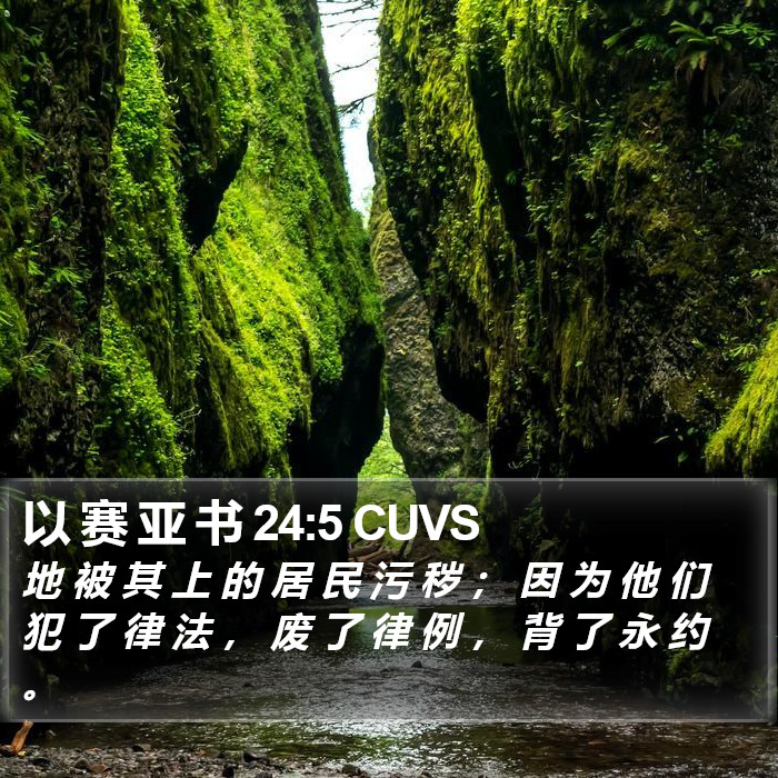 以 赛 亚 书 24:5 CUVS Bible Study