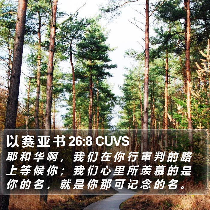 以 赛 亚 书 26:8 CUVS Bible Study