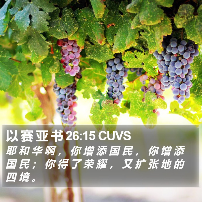 以 赛 亚 书 26:15 CUVS Bible Study