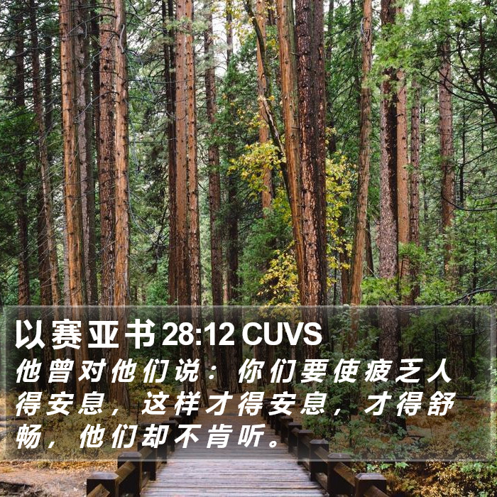 以 赛 亚 书 28:12 CUVS Bible Study