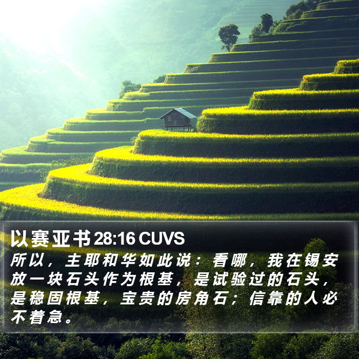 以 赛 亚 书 28:16 CUVS Bible Study