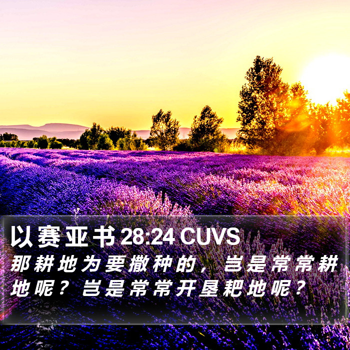 以 赛 亚 书 28:24 CUVS Bible Study