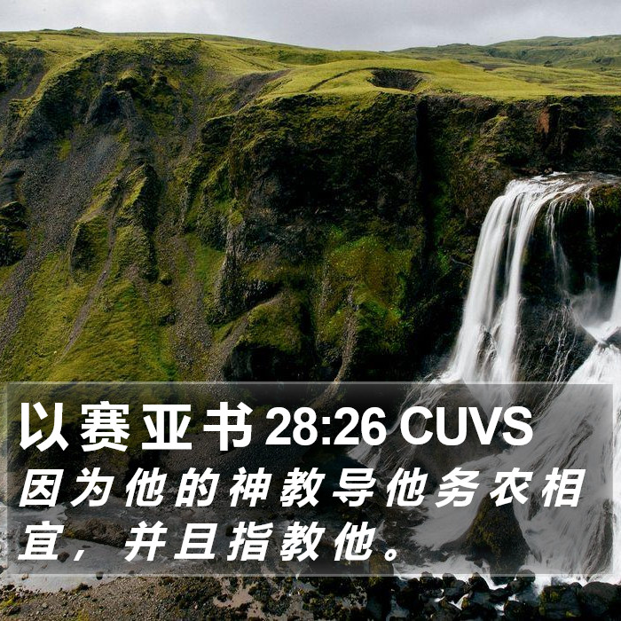 以 赛 亚 书 28:26 CUVS Bible Study