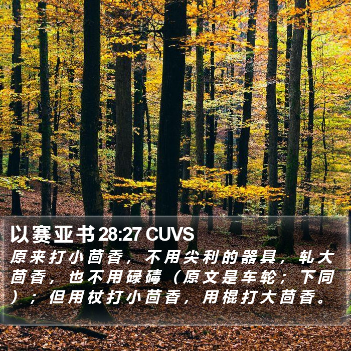 以 赛 亚 书 28:27 CUVS Bible Study