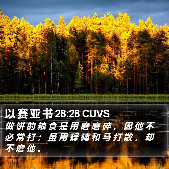 以 赛 亚 书 28:28 CUVS Bible Study