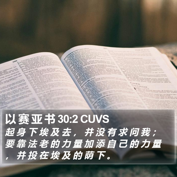 以 赛 亚 书 30:2 CUVS Bible Study