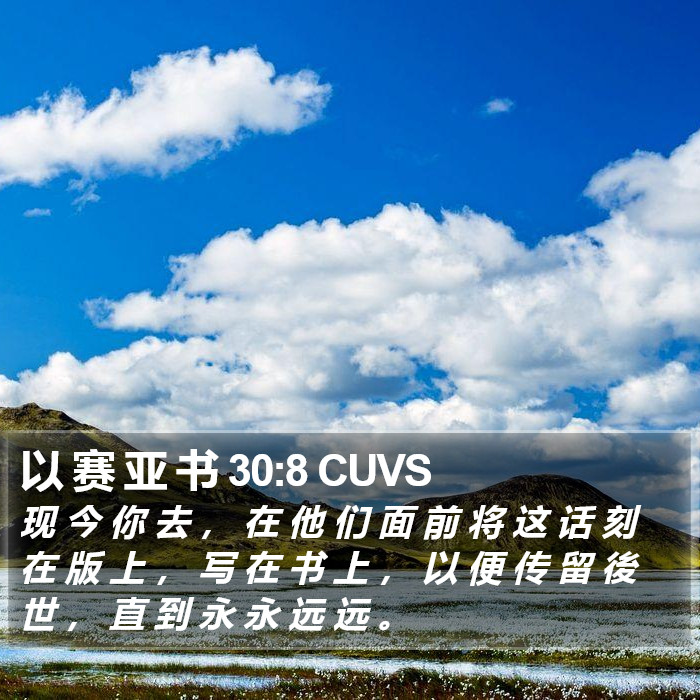 以 赛 亚 书 30:8 CUVS Bible Study