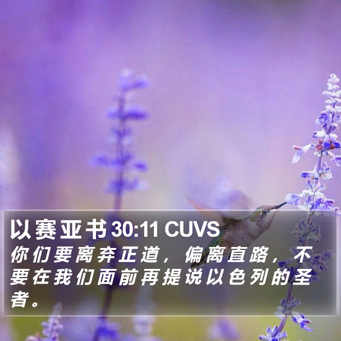 以 赛 亚 书 30:11 CUVS Bible Study