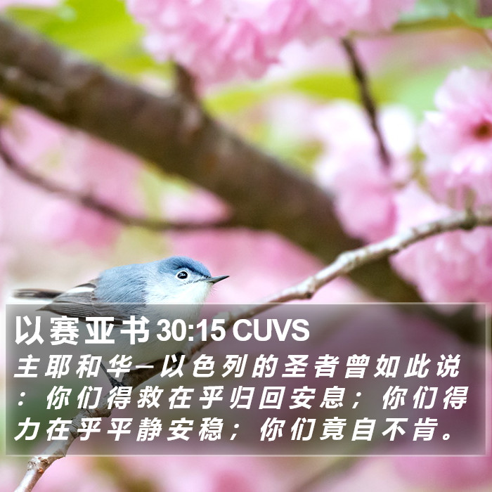 以 赛 亚 书 30:15 CUVS Bible Study