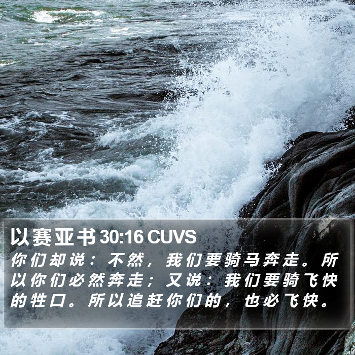 以 赛 亚 书 30:16 CUVS Bible Study