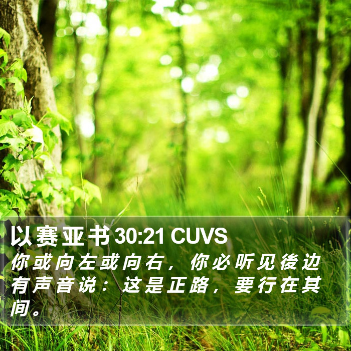 以 赛 亚 书 30:21 CUVS Bible Study