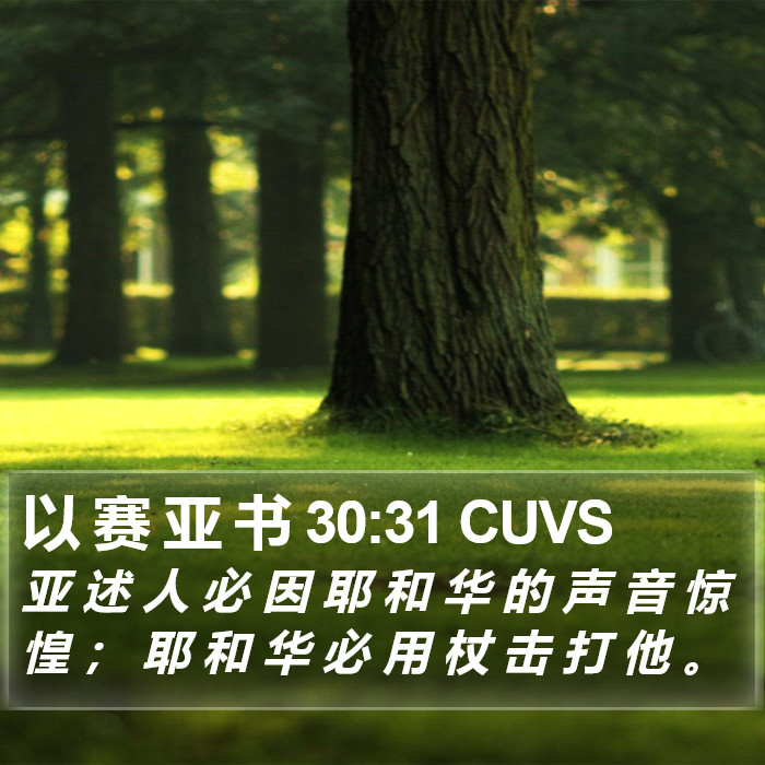 以 赛 亚 书 30:31 CUVS Bible Study