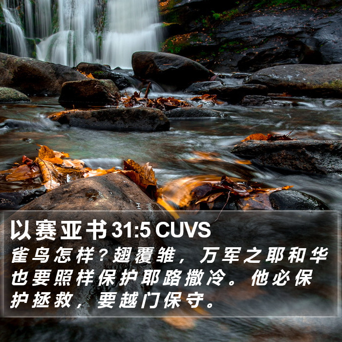 以 赛 亚 书 31:5 CUVS Bible Study