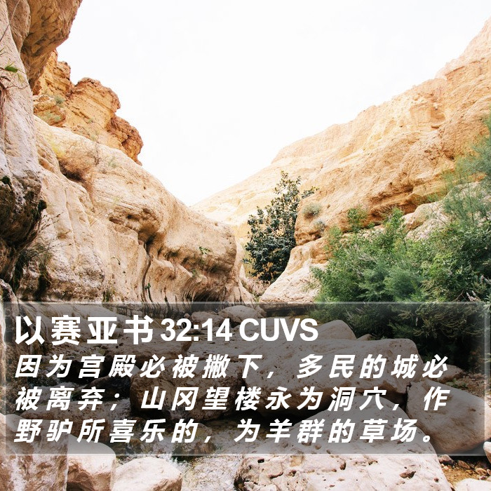 以 赛 亚 书 32:14 CUVS Bible Study