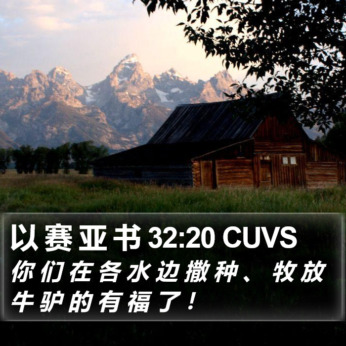 以 赛 亚 书 32:20 CUVS Bible Study