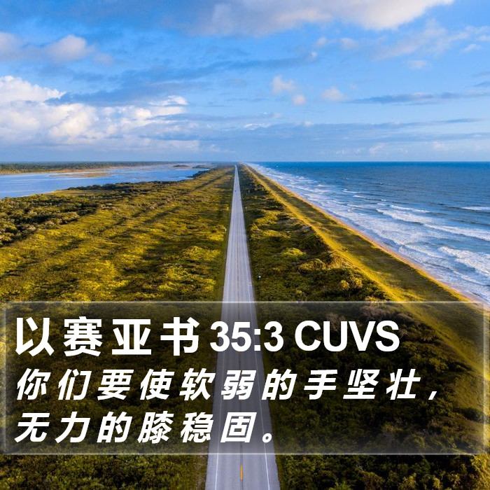 以 赛 亚 书 35:3 CUVS Bible Study