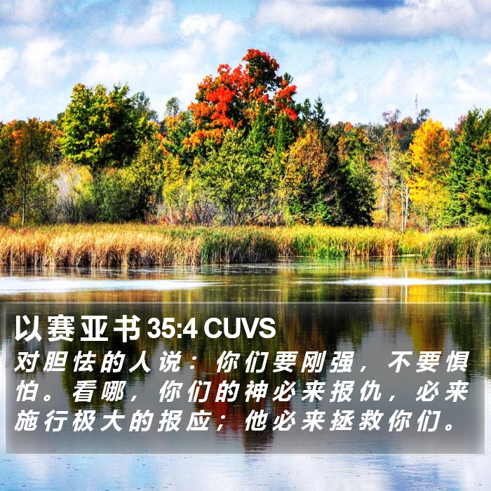 以 赛 亚 书 35:4 CUVS Bible Study