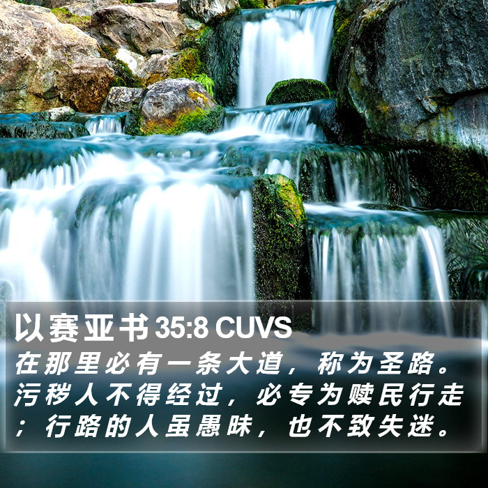 以 赛 亚 书 35:8 CUVS Bible Study