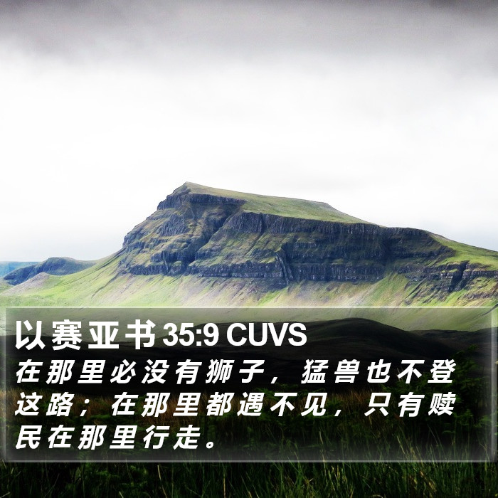 以 赛 亚 书 35:9 CUVS Bible Study