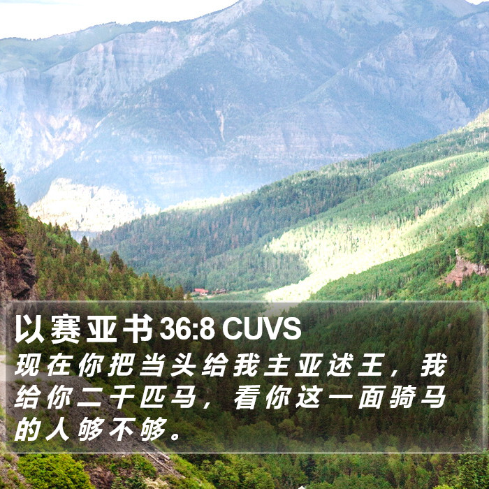 以 赛 亚 书 36:8 CUVS Bible Study