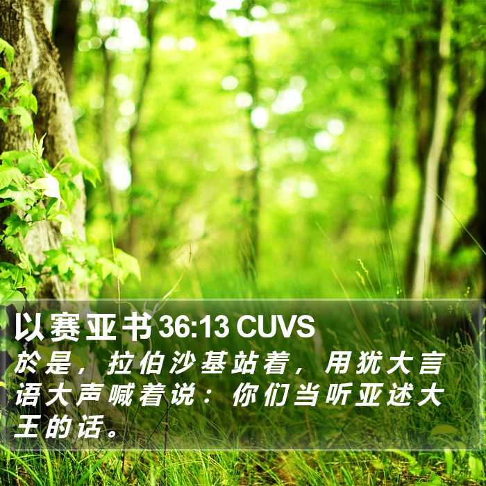 以 赛 亚 书 36:13 CUVS Bible Study