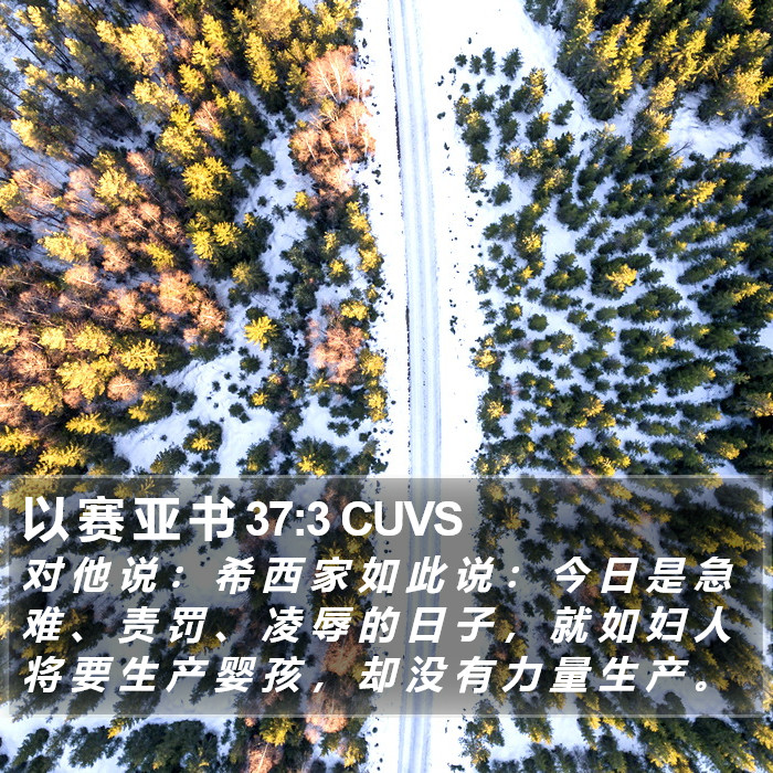 以 赛 亚 书 37:3 CUVS Bible Study