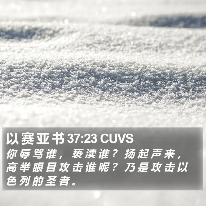 以 赛 亚 书 37:23 CUVS Bible Study