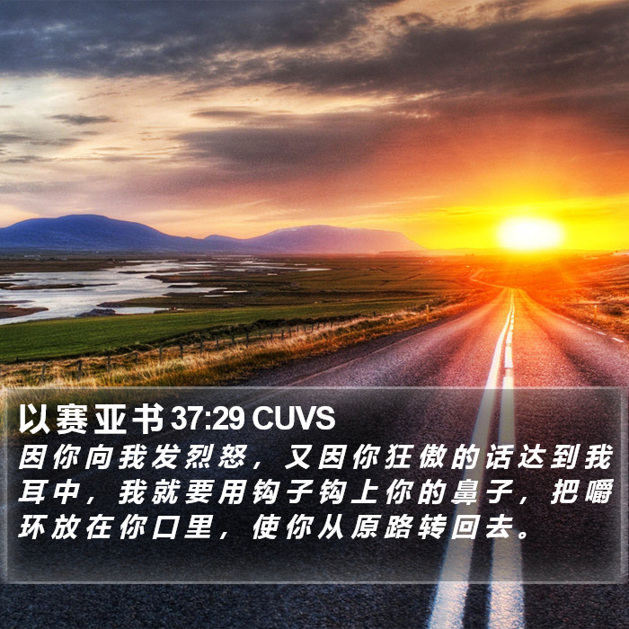 以 赛 亚 书 37:29 CUVS Bible Study