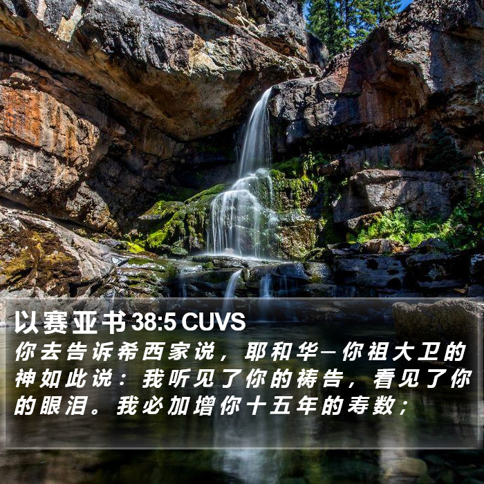 以 赛 亚 书 38:5 CUVS Bible Study