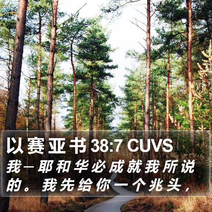 以 赛 亚 书 38:7 CUVS Bible Study