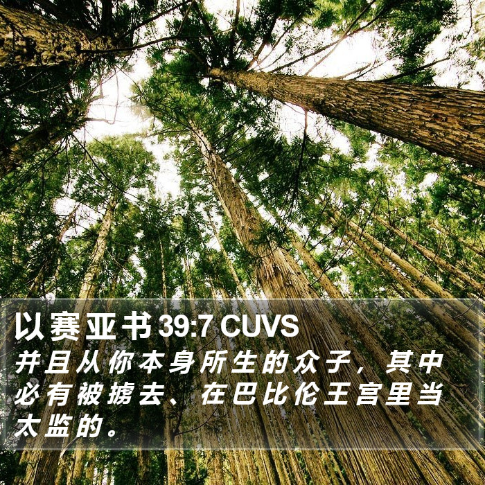 以 赛 亚 书 39:7 CUVS Bible Study