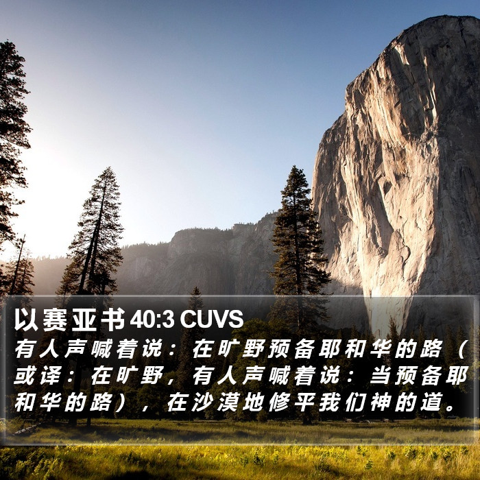 以 赛 亚 书 40:3 CUVS Bible Study