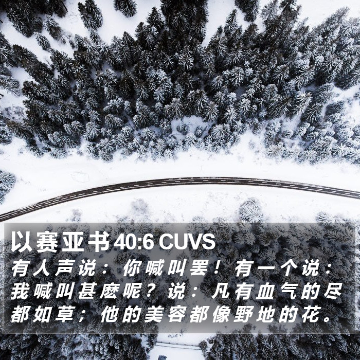 以 赛 亚 书 40:6 CUVS Bible Study