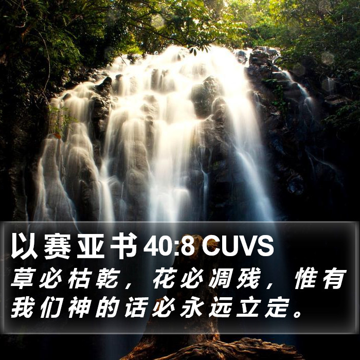 以 赛 亚 书 40:8 CUVS Bible Study