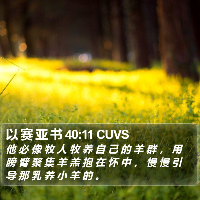 以 赛 亚 书 40:11 CUVS Bible Study