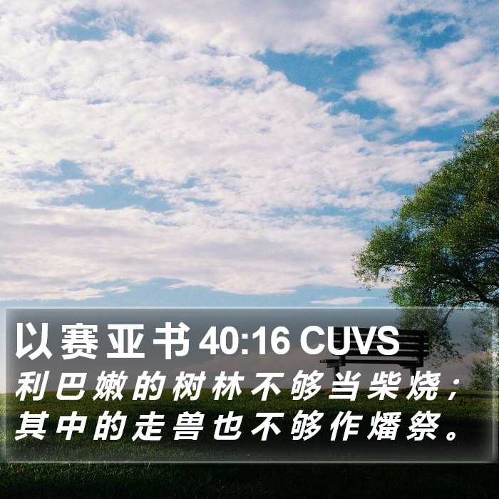 以 赛 亚 书 40:16 CUVS Bible Study