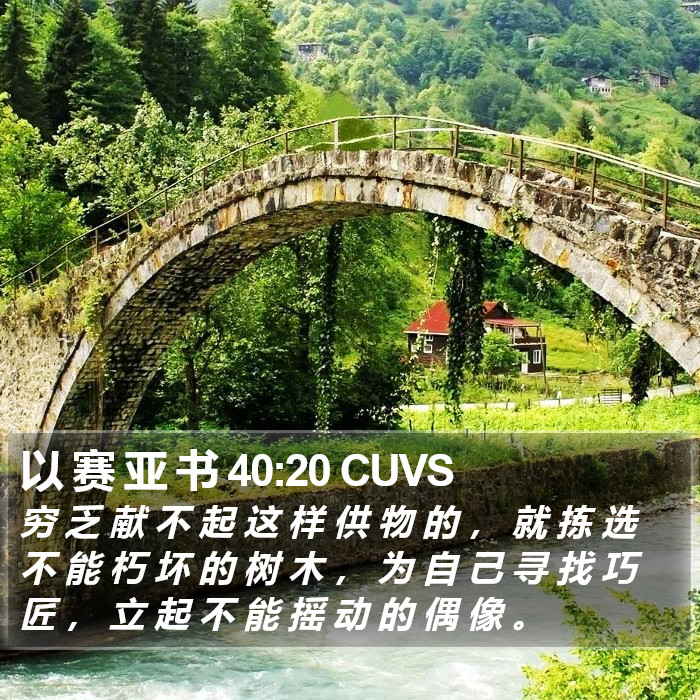 以 赛 亚 书 40:20 CUVS Bible Study