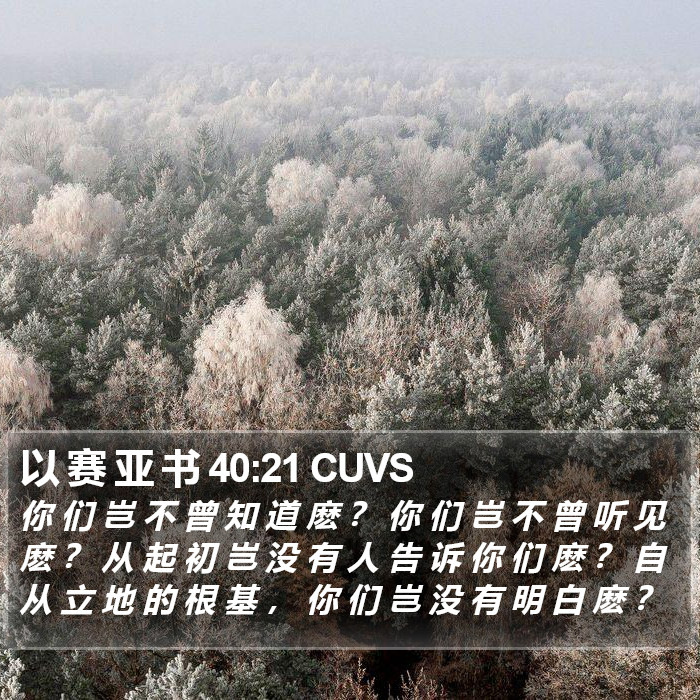 以 赛 亚 书 40:21 CUVS Bible Study